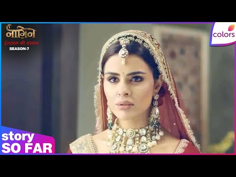 Naagin S7 | Ep. 43 |  | Colors TV thumbnail