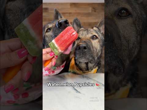 Watermelon Popsicles thumbnail