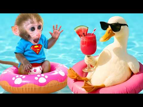 Monkey Baby Bon Bon Has a Nightmare About Sharks Swimming in His Yard thumbnail