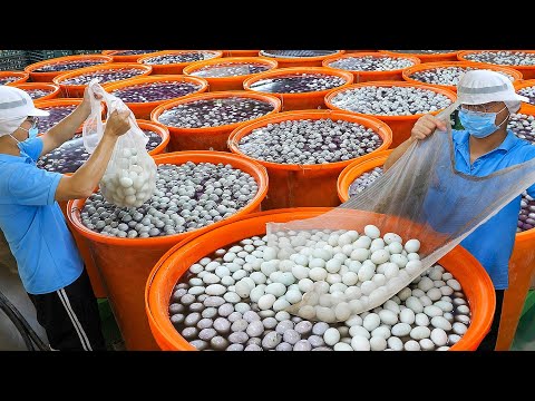 Wow! Taiwan Preserved Duck Egg Factory - Mass Production of Century Eggs 驚豔台灣皮蛋工廠, 皮蛋大規模量產現場 thumbnail