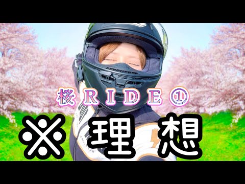 【ソメイヨシノ?桜RIDE】念願のお花見！！児玉千本桜 thumbnail