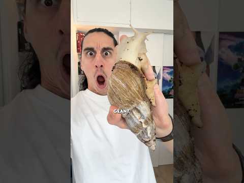 MON ESCARGOT GÉANT FÊTE SON ANNIVERSAIRE ! thumbnail