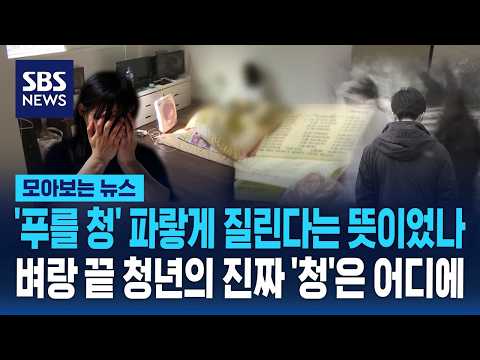 '푸를 청' 파랗게 질린다는 뜻이었나..벼랑 끝 청년의 진정한 '청'은 어디에 / SBS / 모아보는 뉴스 thumbnail