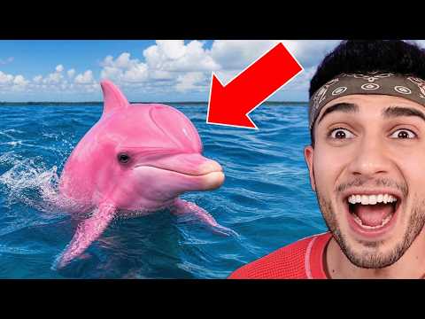 HAYATINIZDA İLK KEZ GÖRECEĞİNİZ NADİR HAYVANLAR! thumbnail