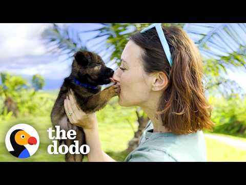 Foster Mom Becomes Seeing-Eye Human For This Blind Puppy | The Dodo thumbnail