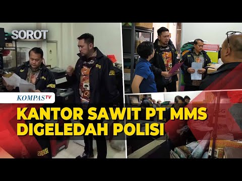 Detik-Detik! Bareskrim Polri Geledah Kantor Sawit PT MMS, Dokumen & CPU Disita! thumbnail