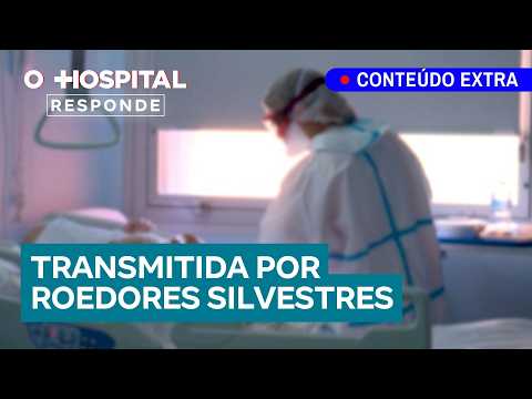 Hantavírus: entenda que é a doença, seus sintomas e como se proteger | O Hospital Responde thumbnail