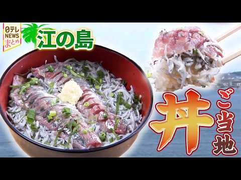 【藤沢市グルメ】江の島名物　生しらす丼/卸問屋おいしい焼肉　特大1枚!和牛ロース/豚肉にホレた男の自信作　バラ塩うどん thumbnail