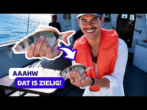 VANGEN Floor en Juan die VIS in Albu? | Zomer Zonder Centen | NPO Start Next thumbnail
