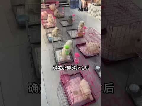 这个视频我朋友再三劝我不要发布出来，我思考了几天还是想着发出来...... thumbnail