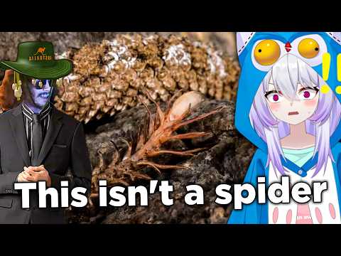 ABSOLUTELY NOT! Vtuber Reacts to More MoreParz! thumbnail