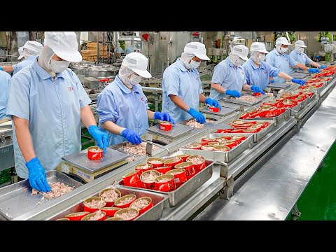 Canned Tuna Processing Plant! Tuna Omelet & Burger Steak Making / 鮪魚罐頭量產工廠 - Taiwan Seafood Factory thumbnail