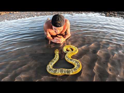 Exploring For Venomous Sea Creatures In Tide Pools thumbnail