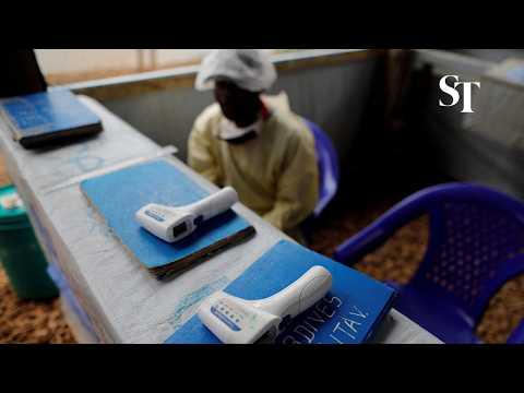 WHO declares global health emergency over Ebola outbreak thumbnail
