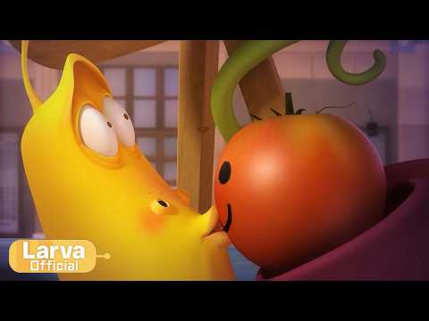 Kiss | Animation Compilation | Larva Tuba | Official thumbnail