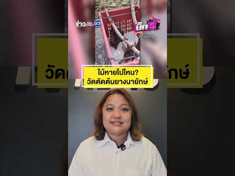 ไม้หายไปไหน? วัดตัดต้นยางนายักษ์ | บิ๊กตู่ | 29 พ.ค.2569 thumbnail