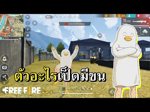 เป็ดเกรียนกินทามะ thumbnail