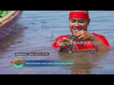 Berburu Ikan Dengan Anco | JEJAK SI GUNDUL (21/05/26) P3 thumbnail