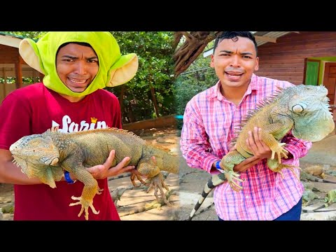 LA NUEVA MASCOTA DE LARIN JR / LOS MEJORES TIKTOK DE ALFREDO LARIN thumbnail