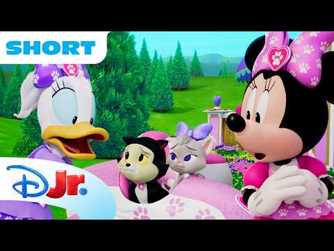 Figaro & Dancer Plan a Secret Scooter Play Date! 🛴🎀 | Minnie's Bow-Toons: Pet Hotel | @disneyjr ​ thumbnail
