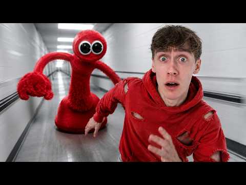 De Echte Rood thumbnail