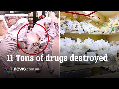 Peru burns more than 11 tons of seized drugs in massive crackdown thumbnail