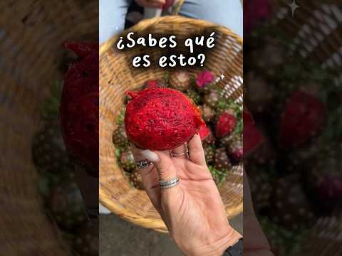 La fruta mexicana que parece de otro planeta thumbnail