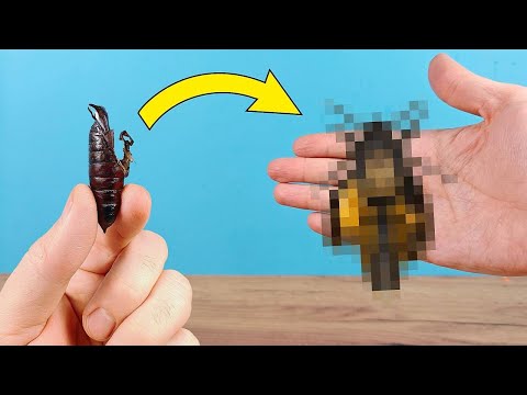 ¡Ha nacido una mariposa enferma! ¿Cómo puedo ayudarla? thumbnail