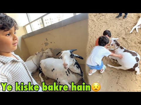 Ye kiske bakre agaye building mai? | boht he khubsurat hain mashallah? thumbnail