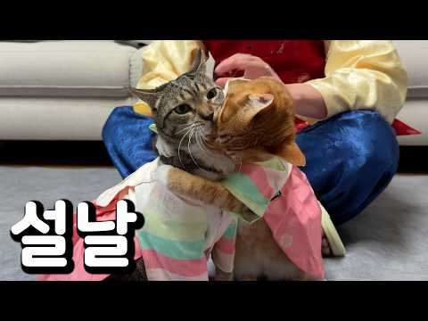 명절에 멱살잡이 하는 화목한 우리집 thumbnail