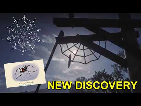 NEW Spiderweb Discovery in GTA 5 after 12+ years thumbnail