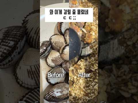 와 이게 진짜 갈린다고? ㄷㄷ thumbnail
