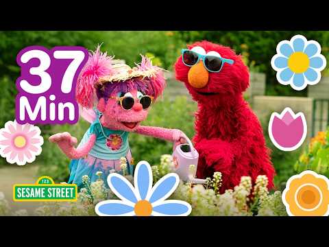 Plants and Flowers with Elmo and Abby 🌿🌺🌲| Sesame Street | 37 Mins thumbnail
