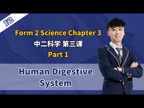 2026 中二科学第三课 | Science Form 2 Chapter 3 Nutrition | Nutrisi thumbnail