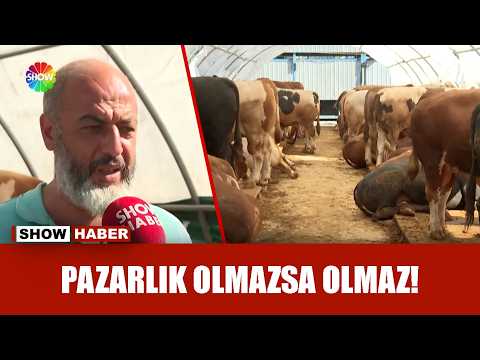 Kurban pazarında son durum! thumbnail