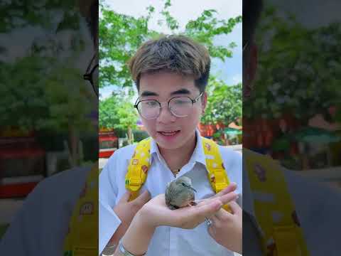 SH - THỬ THÁCH 7 NGÀY 7 VỊ CÙNG VỚI MOOZI 😂😂 thumbnail