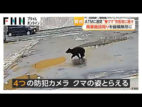 ATMにクマ激突しガラス戸破壊　“春クマ”市街地に続々　東京・八王子でも出没（2026年05月14日） thumbnail