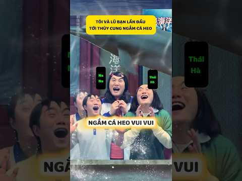 Lần đầu ngắm cá heo ở thuỷ cung #haihuoc #giaitri thumbnail