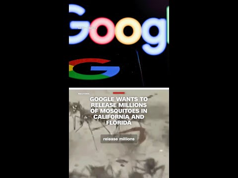 Google wants to release millions of mosquitoes in California and Florida thumbnail