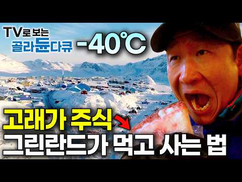 바다까지 꽁꽁 얼어 사방이 눈바다｜고래와 바다 표범이 주식, 그린란드 사람들이 먹고 사는 법｜세계테마기행｜#골라듄다큐 thumbnail