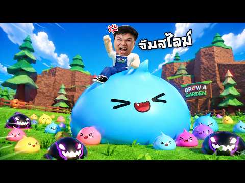 ทายสิ? ลุงเหม็นจะหมดเงินเท่าไร | Roblox Slime RNG thumbnail