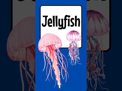 Jellyfish Explained ? Amazing Ocean Science! | 60 Seconds of Wow #funscience #kidslearning thumbnail