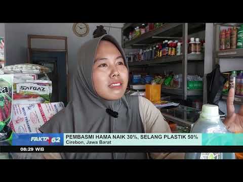 Kata Warga Desa soal Tak Pakai Dolar thumbnail
