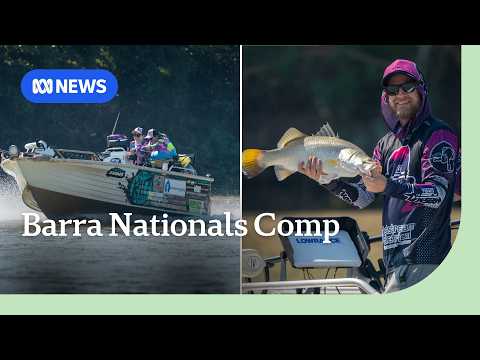 Australia's biggest barramundi fishing competition underway on the Daly River | ABC NEWS thumbnail