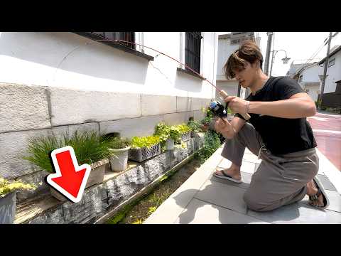 住宅街の用水路にとんでもない魚が… thumbnail