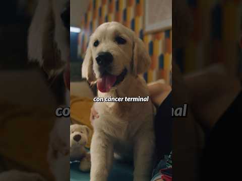 SALVÓ A SU PERRO con IA!!! thumbnail
