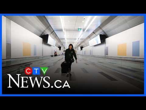 Calls persist for Billy Bishop referendum at Toronto City Council thumbnail