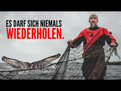 Damit sich das Schicksal vom Buckelwal nicht wiederholt. thumbnail