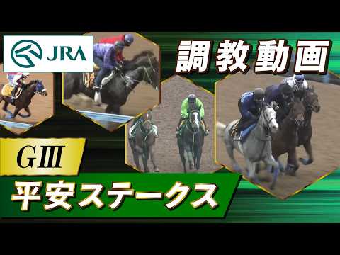 【調教動画】2026年 平安ステークス｜JRA公式 thumbnail