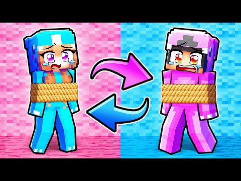 We SWAPPED COLORS in Minecraft! thumbnail